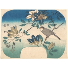 Utagawa Hiroshige: Clematis and Bird - Metropolitan Museum of Art