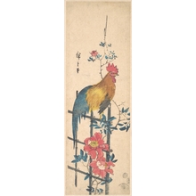 Utagawa Hiroshige: Peony and Cock - Metropolitan Museum of Art