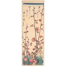 歌川広重: Red Blossom Plum - メトロポリタン美術館