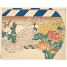 Utagawa Hiroshige: Chrysanthemums in Fan-shaped Design - Metropolitan Museum of Art