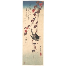 Utagawa Hiroshige: Long-tailed Tit on Autumn Ivy - Metropolitan Museum of Art