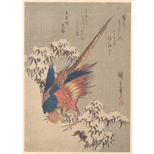 歌川広重: Sparrow and Snow-covered Camellia (Tsubaki) - メトロポリタン美術館