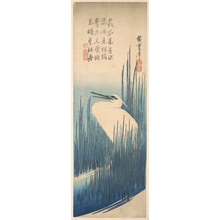 Utagawa Hiroshige: White Heron Standing among Reeds - Metropolitan Museum of Art