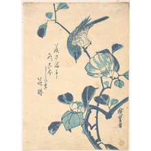 Utagawa Hiroshige: Camellia and Bird - Metropolitan Museum of Art