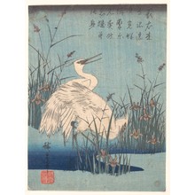 Utagawa Hiroshige: Egret in Iris and Grasses - Metropolitan Museum of Art