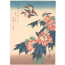 Utagawa Hiroshige: Black-naped Oriole Perched on a Stem of Rose Mallow - Metropolitan Museum of Art