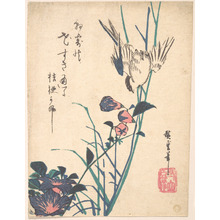 Utagawa Hiroshige: Large-flowered Flat Bill and Sparrow - Metropolitan Museum of Art