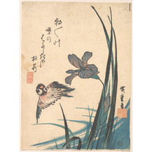 Utagawa Hiroshige: Iris and Sparrow - Metropolitan Museum of Art