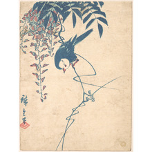 Utagawa Hiroshige: Wisteria and White-headed Bird - Metropolitan Museum of Art