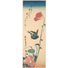 Utagawa Hiroshige: Poppy and Sparrow - Metropolitan Museum of Art