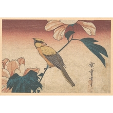 Utagawa Hiroshige: Hibiscus Mutabilis and Jay - Metropolitan Museum of Art