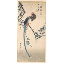 歌川広重: Long Tailed Bird - メトロポリタン美術館