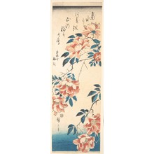 Utagawa Hiroshige: Rose - Metropolitan Museum of Art