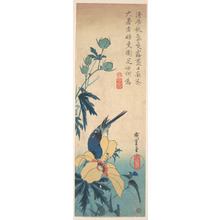 歌川広重: Hibiscus and Bluebird - メトロポリタン美術館