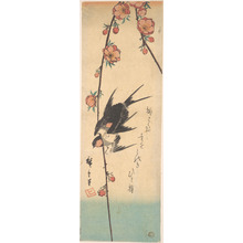 Utagawa Hiroshige: Pear Blossoms and Swallows - Metropolitan Museum of Art
