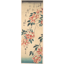 Utagawa Hiroshige: Roses - Metropolitan Museum of Art