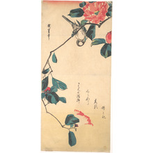 Utagawa Hiroshige: Camellia and Bullfinch - Metropolitan Museum of Art