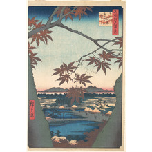 歌川広重: Maples at Mama, from the series One Hundred Famous Views of Edo - メトロポリタン美術館