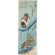 Utagawa Hiroshige: Mallard Ducks and Snow-covered Reeds - Metropolitan Museum of Art