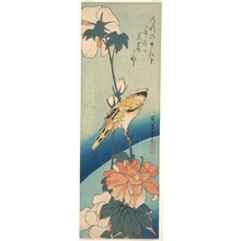 歌川広重: Fuyo (Hibiscus) and a Yellow Bird - メトロポリタン美術館