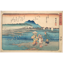 歌川広重: Mutsu, Noda no Tamagawa - メトロポリタン美術館