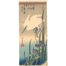 歌川広重: White Heron and Iris - メトロポリタン美術館