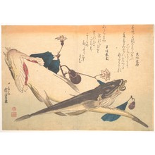 歌川広重: Kochi Fish with Eggplant, from the series Uozukushi (Every Variety of Fish) - メトロポリタン美術館