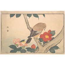 Keisai: Camellias with a Bird - Metropolitan Museum of Art