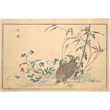 Japanese Print "Zhu ji" by Keisai (Japanese, 1761–1824)