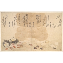 Kitagawa Utamaro: Shells under Water - Metropolitan Museum of Art