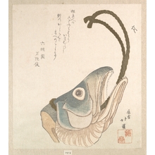 Totoya Hokkei: Head of a Salmon - Metropolitan Museum of Art