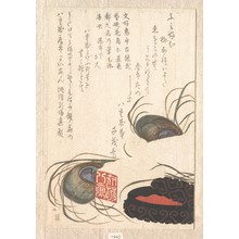 魚屋北渓: Seal-Stone and Seal-Ink - メトロポリタン美術館