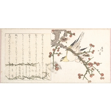 Totoya Hokkei: Bird Perching on a Palm Branch - Metropolitan Museum of Art