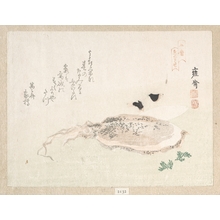 Yosai: Cuttle Fish - Metropolitan Museum of Art