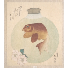 Totoya Hokkei: Gold-Fish in a Glass Bottle - Metropolitan Museum of Art