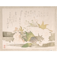 Unknown: Cherry Blossoms and a Snail - Metropolitan Museum of Art