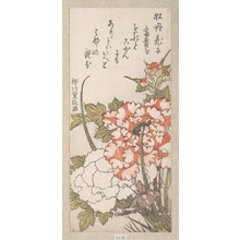 Kitao Shigemasa: Peonies and Iris - Metropolitan Museum of Art