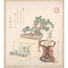 Sunayama Gosei: Potted Pine Tree Drum and Seven Herbs Planted in a Box - Metropolitan Museum of Art