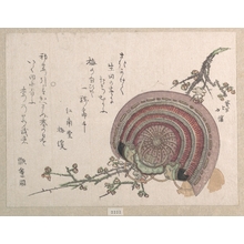 Totoya Hokkei: Helmet and Plum Blossoms - Metropolitan Museum of Art