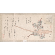 Ryuryukyo Shinsai: Young Pine Tree and Handle of a Plow - Metropolitan Museum of Art