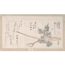 Ryuryukyo Shinsai: Young Pine Tree and the Handle of a Plow - Metropolitan Museum of Art