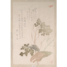 Unknown: Natane Flower - Metropolitan Museum of Art