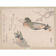 Ryuryukyo Shinsai: Pair of Ducks Swimming - Metropolitan Museum of Art