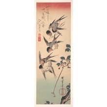 歌川広重: Five Swallows above a Branch - メトロポリタン美術館