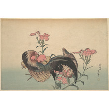 Katsushika Hokusai: Cock, Hen, and Nadeshiko (Dianthus Superbus) - Metropolitan Museum of Art