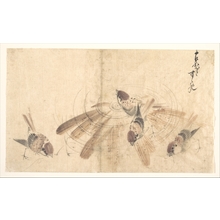 Katsushika Hokusai: Sparrows - Metropolitan Museum of Art