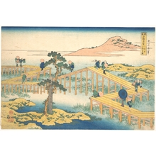 葛飾北斎: Ancient View of Yatsuhashi in Mikawa Province (Mikawa no Yatsuhashi no kozu), from the series Remarkable Views of Bridges in Various Provinces (Shokoku meikyô kiran) - メトロポリタン美術館