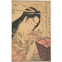 一楽亭栄水: The Courtesan Tsukioka of Hyôgoya - メトロポリタン美術館