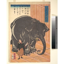 Taguchi: View of the Large Imported Elephant - Metropolitan Museum of Art