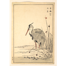 Unknown: Gray Heron (Aosagi) and Mizu-aoi Plant - Metropolitan Museum of Art